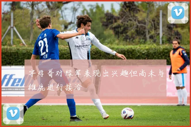 字母哥对绿军表现出兴趣但尚未与雄鹿进行接洽