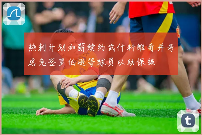 热刺计划加薪续约武什科维奇并考虑免签罗伯逊等球员以助保级