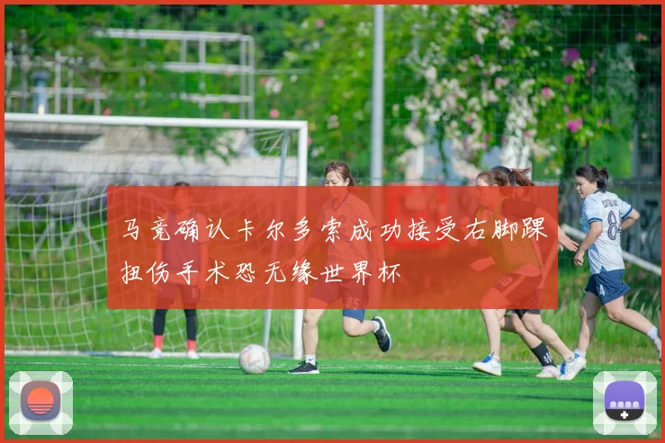 马竞确认卡尔多索成功接受右脚踝扭伤手术恐无缘世界杯
